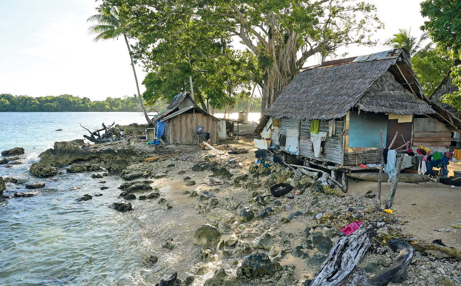 Die Insel Mazaz: zwei einfache Hütten aus Brettern, gedeckt mit Palmenblättern stehen in unmittelbarer Nähe zum Meeresufer. Davor hängen Wäschestücke auf Treibgut.